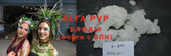 PSILOCYBIN Белокуриха