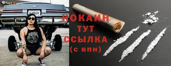 PSILOCYBIN Белокуриха