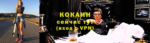 PSILOCYBIN Белокуриха