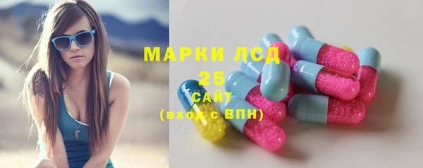PSILOCYBIN Белокуриха