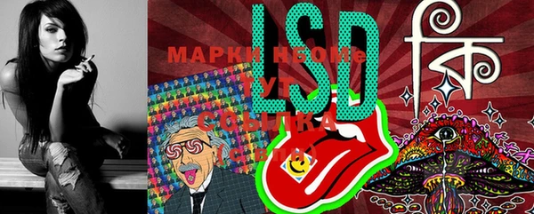 PSILOCYBIN Белокуриха