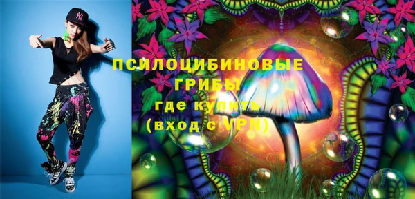 PSILOCYBIN Белокуриха