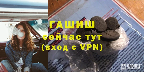 PSILOCYBIN Белокуриха