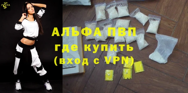 PSILOCYBIN Белокуриха