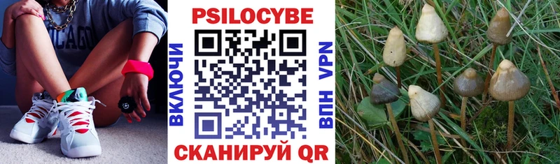 Галлюциногенные грибы мухоморы  магазин продажи   Кубинка 